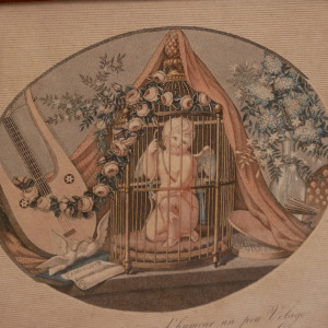 Gravure XIXème Ange en Cage...